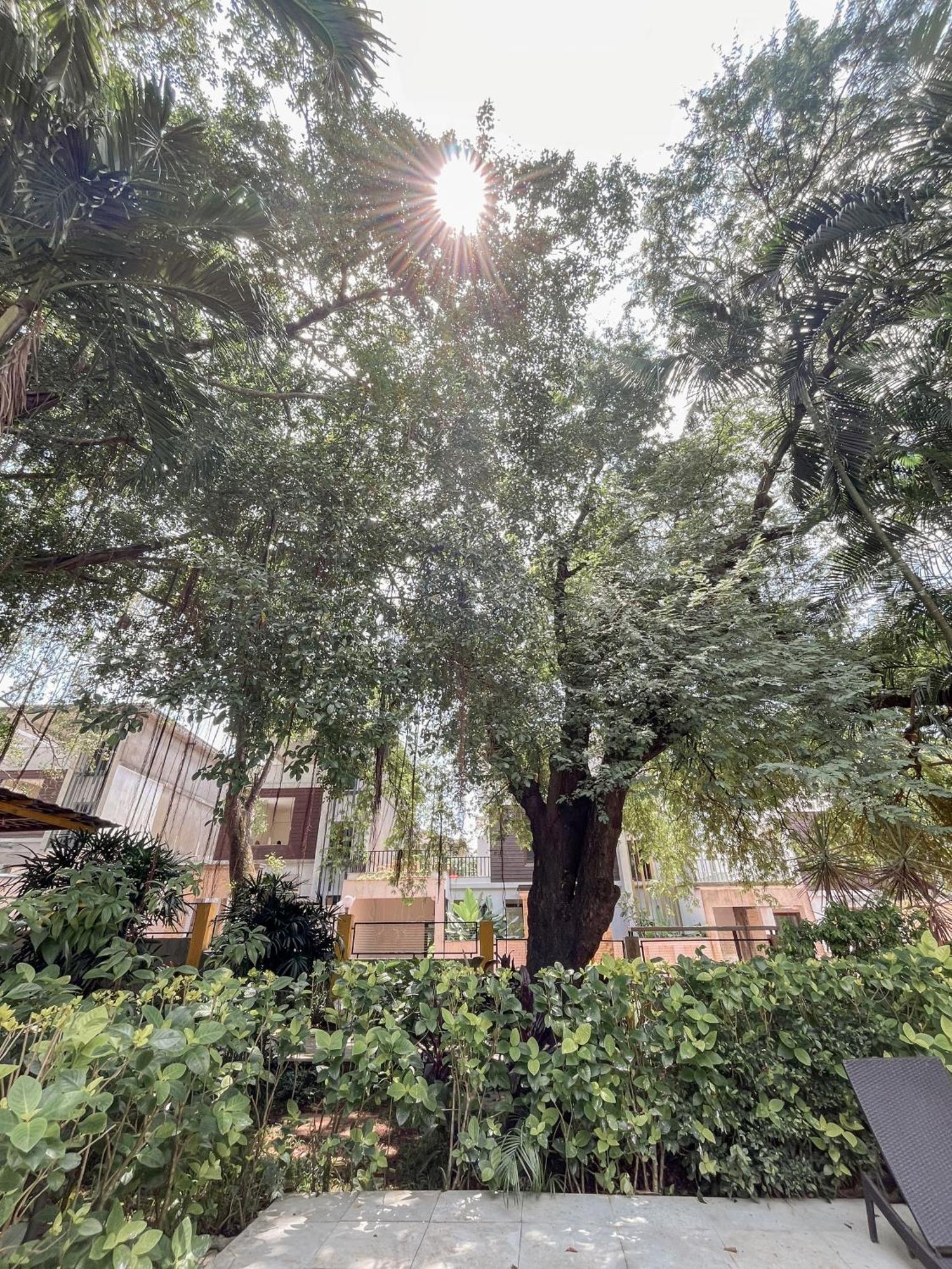 Rainforest - Casa Del Sol, Anjuna - 3 Kms From The Beach Номер фото