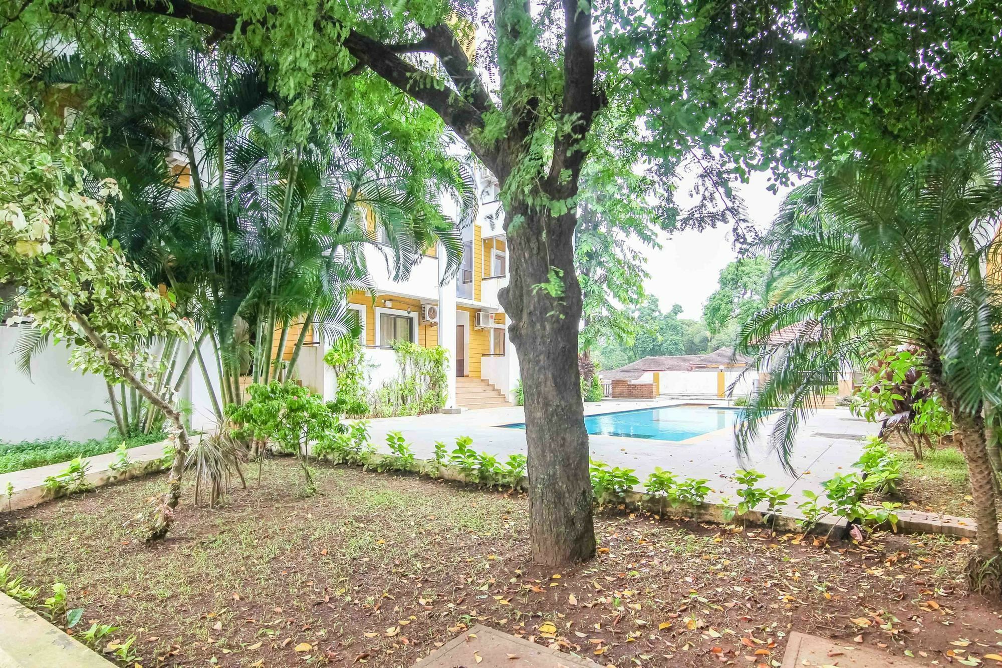 Rainforest - Casa Del Sol, Anjuna - 3 Kms From The Beach Экстерьер фото